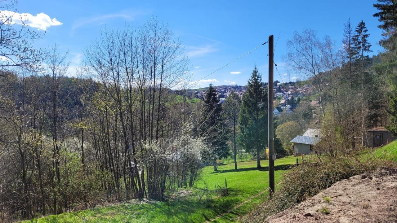 Waldpension Am Koepfchen Kurort Steinbach-Hallenberg Zewnętrze zdjęcie